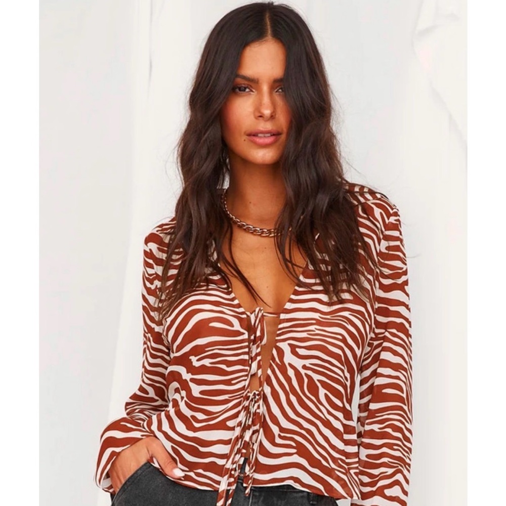 Brown Zebra Print Sheer Women's Top